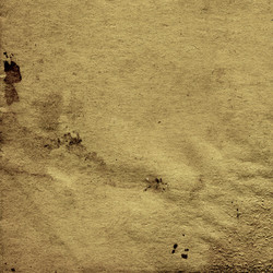 Similar image 879748