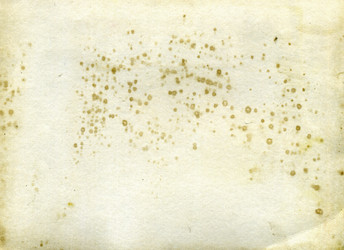 Similar image 879784