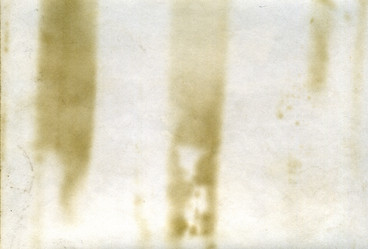 Similar image 879785