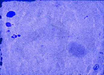 Similar image 879807