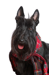 Similar image 879847