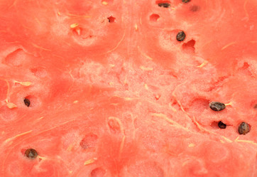 Similar image 879862