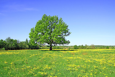 Similar image 879893