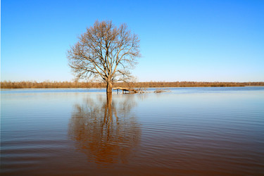 Similar image 879898