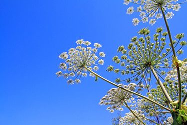 Similar image 879909