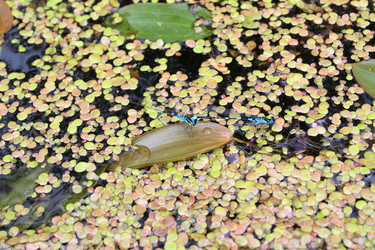 Similar image 879933