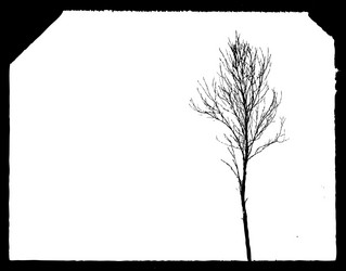 Similar image 879954