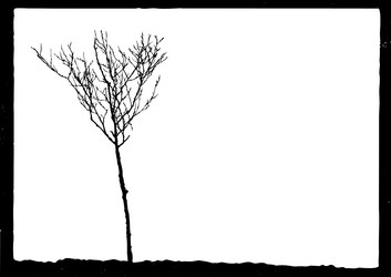 Similar image 879955