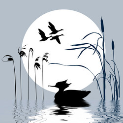 Similar image 879956