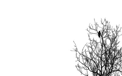 Similar image 879963