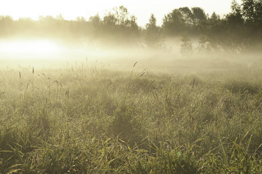 Similar image 879991