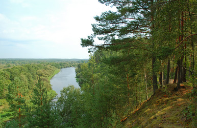 Similar image 879993