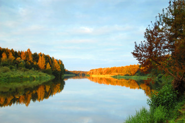 Similar image 879996