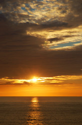 Similar image 880001