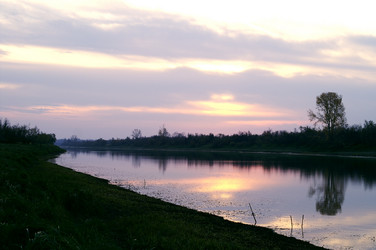 Similar image 880013