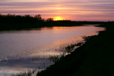 Similar image 880014