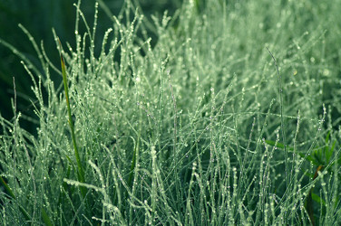 Similar image 880015