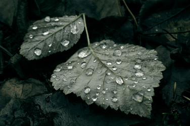 Similar image 880017