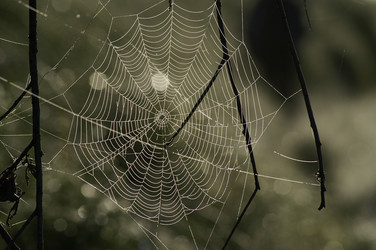 Similar image 880019