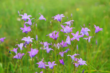 Similar image 880021