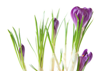 Similar image 880023