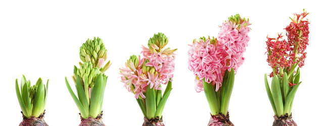 Similar image 880024