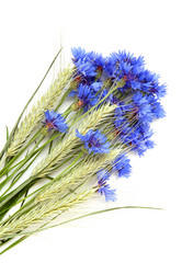 Similar image 880026