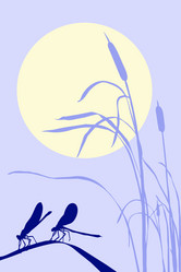 Similar image 880047