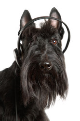 Similar image 880084