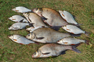 Similar image 880091