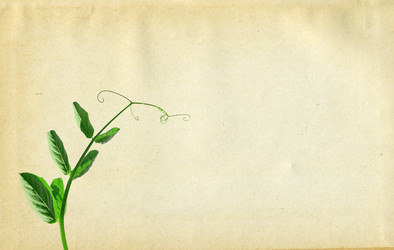 Similar image 880125