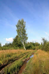 Similar image 880140