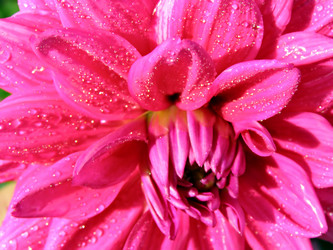 Similar image 880151