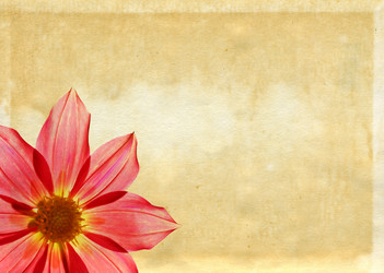 Similar image 880157