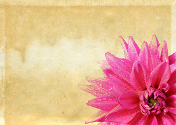 Similar image 880158