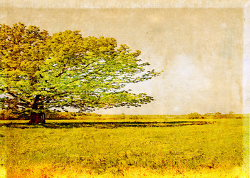 Similar image 880160