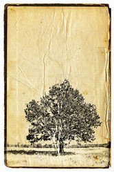 Similar image 880161