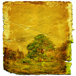 Similar image 880163