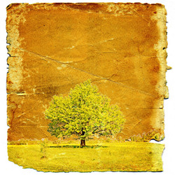 Similar image 880164