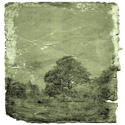 Similar image 880167