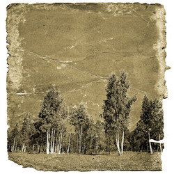 Similar image 880169