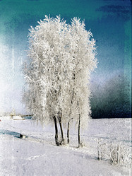 Similar image 880170