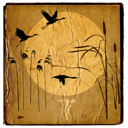 Similar image 880189