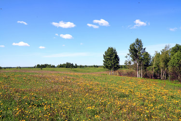 Similar image 880194