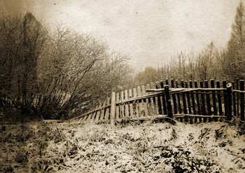 Similar image 880199