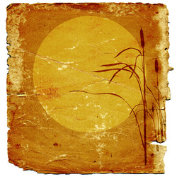 Similar image 880206