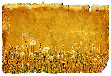 Similar image 880208