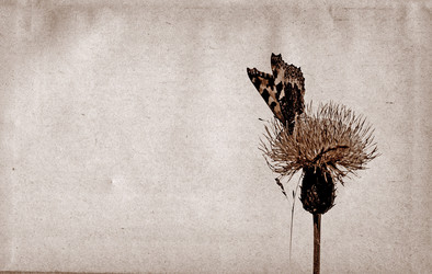 Similar image 880212