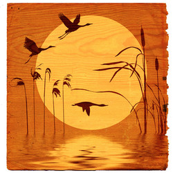 Similar image 880219