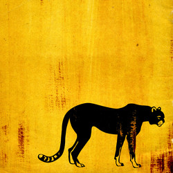 Similar image 880232